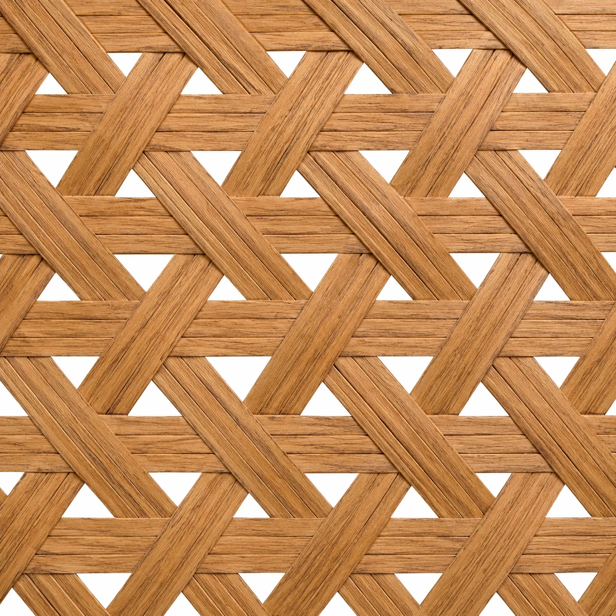 Geometric Lattice